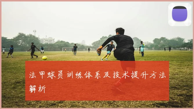 法甲球员训练体系及技术提升方法解析